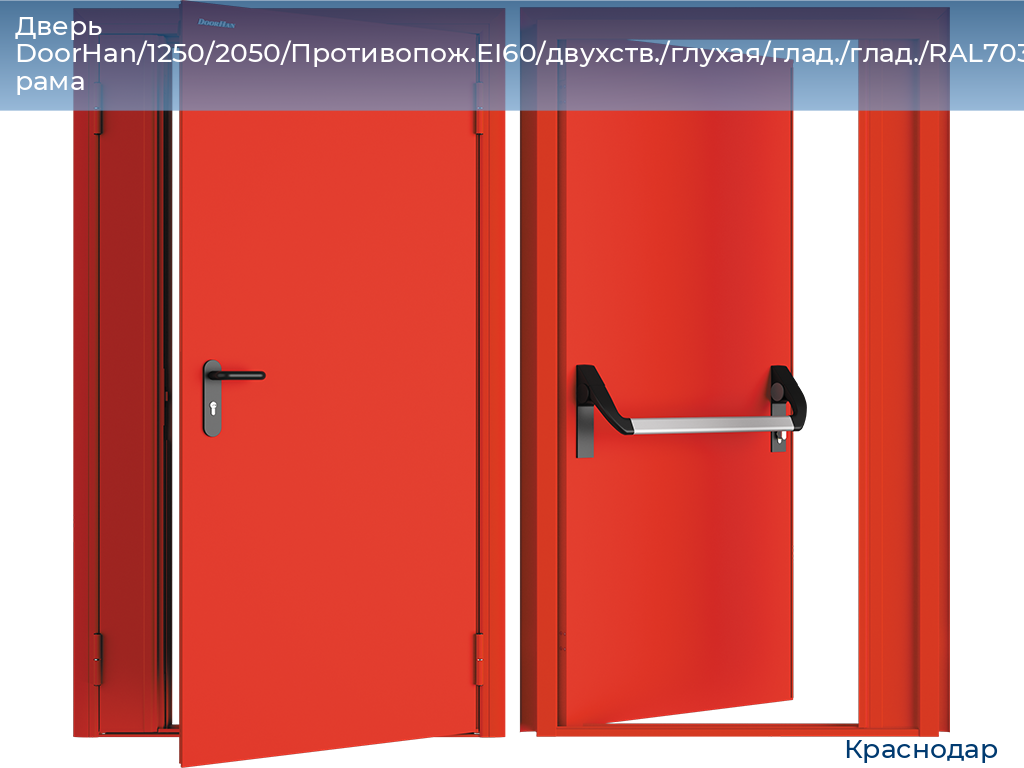 Дверь DoorHan/1250/2050/Противопож.EI60/двухств./глухая/глад./глад./RAL7035/лев./угл. рама, https://krasnodar.doorhan.ru