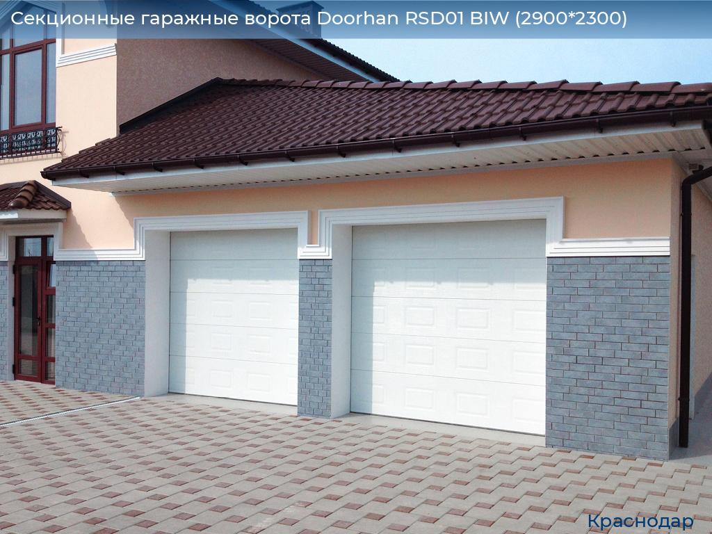 Секционные гаражные ворота Doorhan RSD01 BIW (2900*2300), https://krasnodar.doorhan.ru