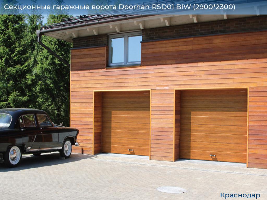 Секционные гаражные ворота Doorhan RSD01 BIW (2900*2300), https://krasnodar.doorhan.ru