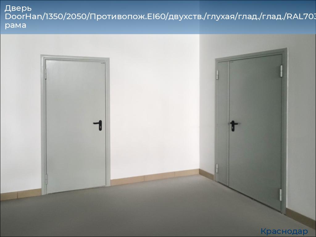 Дверь DoorHan/1350/2050/Противопож.EI60/двухств./глухая/глад./глад./RAL7035/лев./угл. рама, https://krasnodar.doorhan.ru