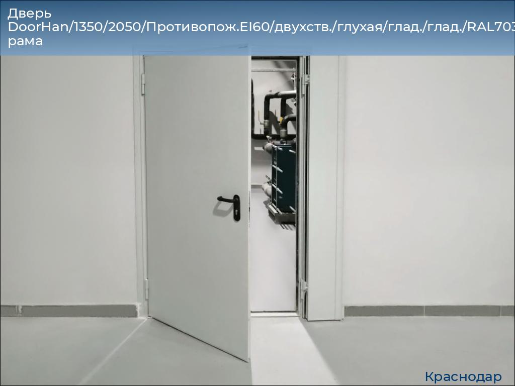 Дверь DoorHan/1350/2050/Противопож.EI60/двухств./глухая/глад./глад./RAL7035/лев./угл. рама, https://krasnodar.doorhan.ru