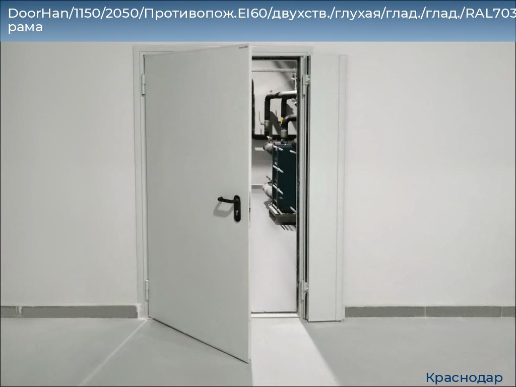 DoorHan/1150/2050/Противопож.EI60/двухств./глухая/глад./глад./RAL7035/лев./угл. рама, https://krasnodar.doorhan.ru