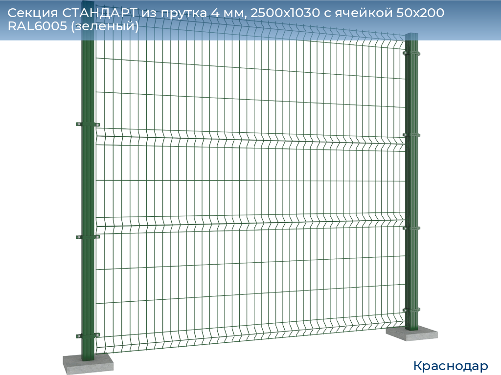 Секция СТАНДАРТ из прутка 4 мм, 2500x1030 с ячейкой 50х200 RAL6005 (зеленый), https://krasnodar.doorhan.ru