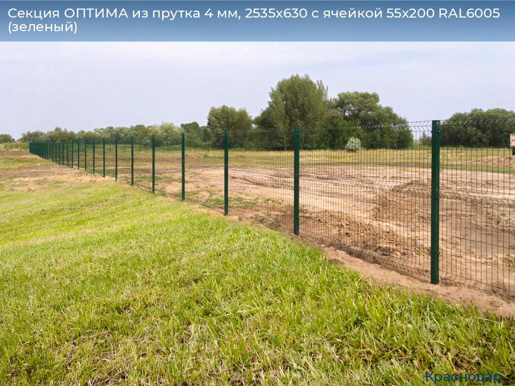 Секция ОПТИМА из прутка 4 мм, 2535x630 с ячейкой 55х200 RAL6005 (зеленый), https://krasnodar.doorhan.ru