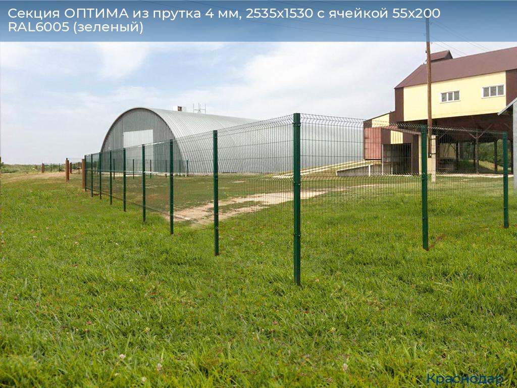 Секция ОПТИМА из прутка 4 мм, 2535x1530 с ячейкой 55х200 RAL6005 (зеленый), https://krasnodar.doorhan.ru