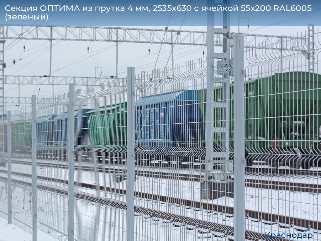 Секция ОПТИМА из прутка 4 мм, 2535x630 с ячейкой 55х200 RAL6005 (зеленый), https://krasnodar.doorhan.ru