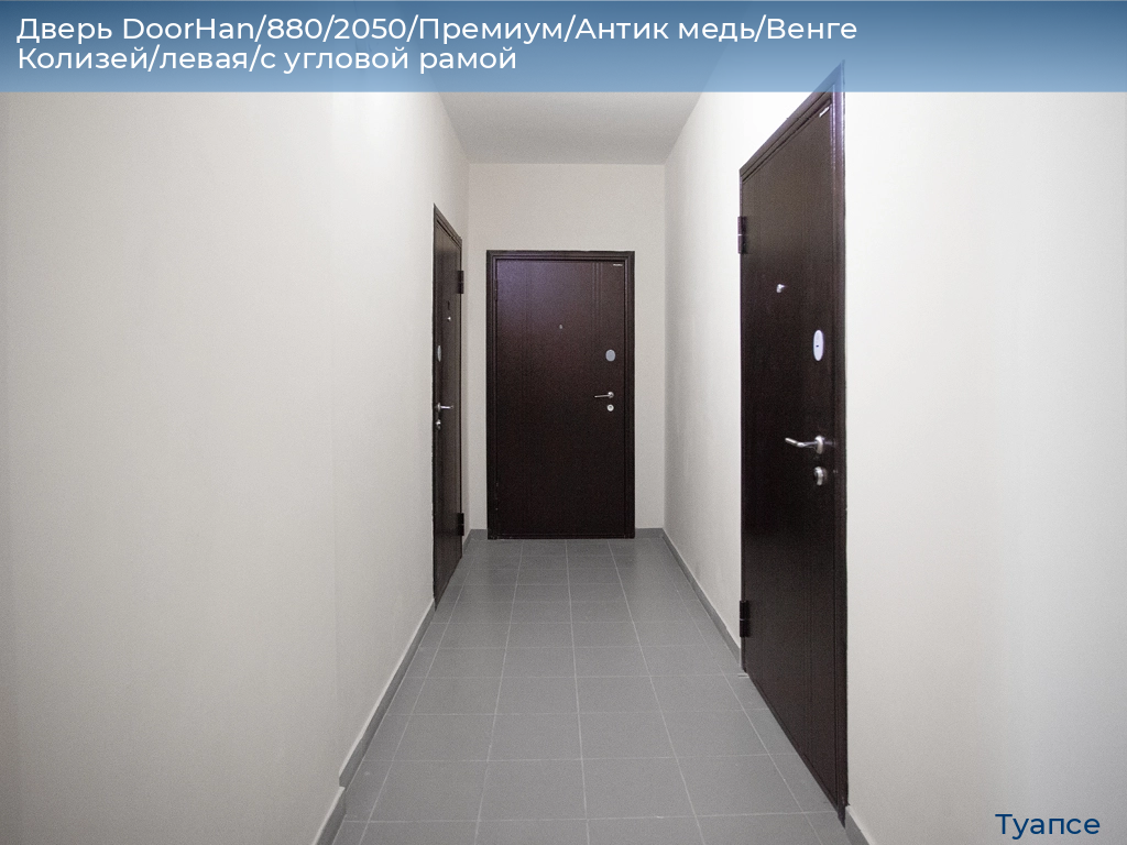 Дверь DoorHan/880/2050/Премиум/Антик медь/Венге Колизей/левая/с угловой рамой, tuapse.doorhan.ru