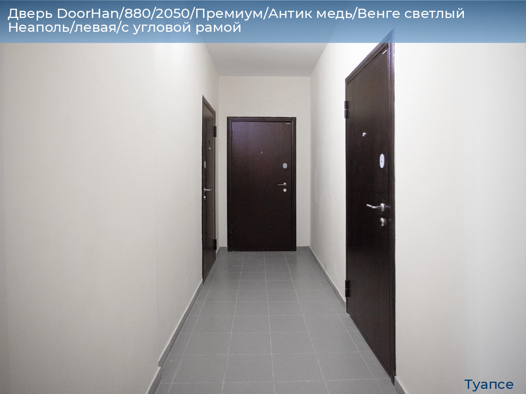 Дверь DoorHan/880/2050/Премиум/Антик медь/Венге светлый Неаполь/левая/с угловой рамой, tuapse.doorhan.ru
