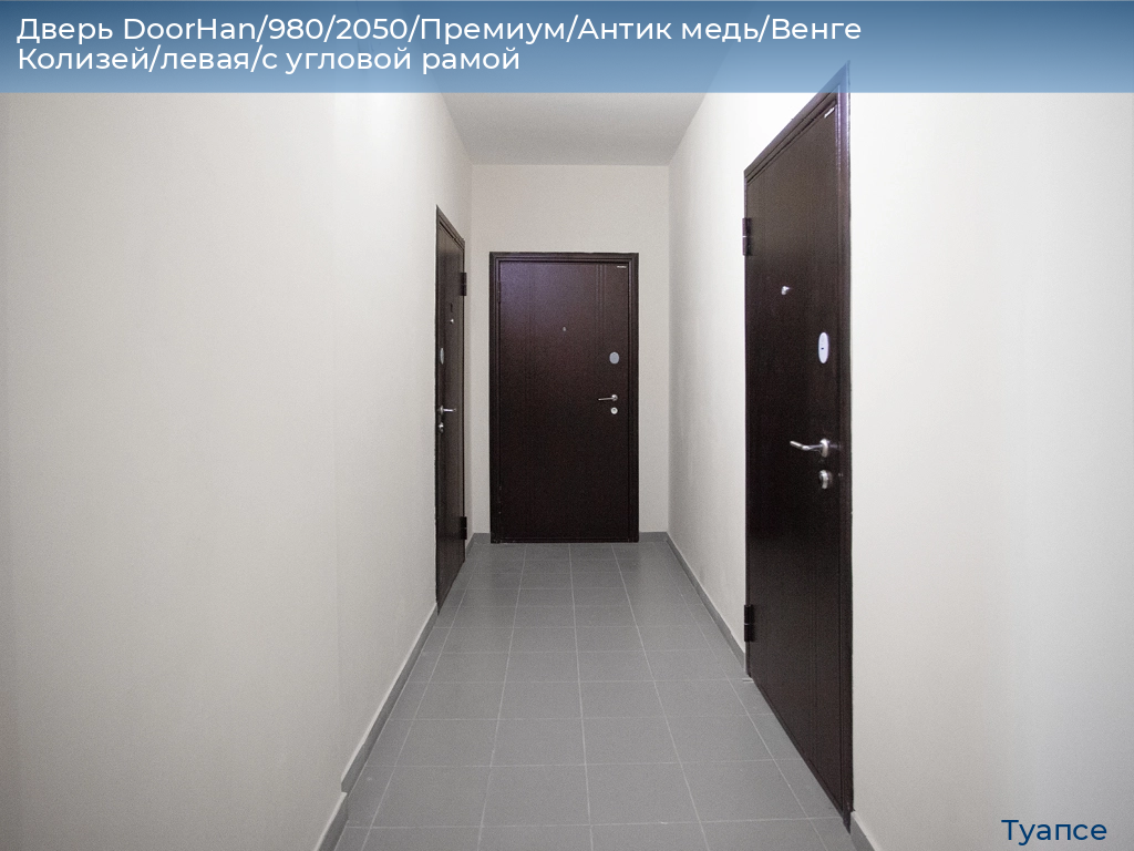 Дверь DoorHan/980/2050/Премиум/Антик медь/Венге Колизей/левая/с угловой рамой, tuapse.doorhan.ru