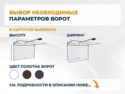 Секционные ворота 2500х2100 мм белые DoorHan rsd02